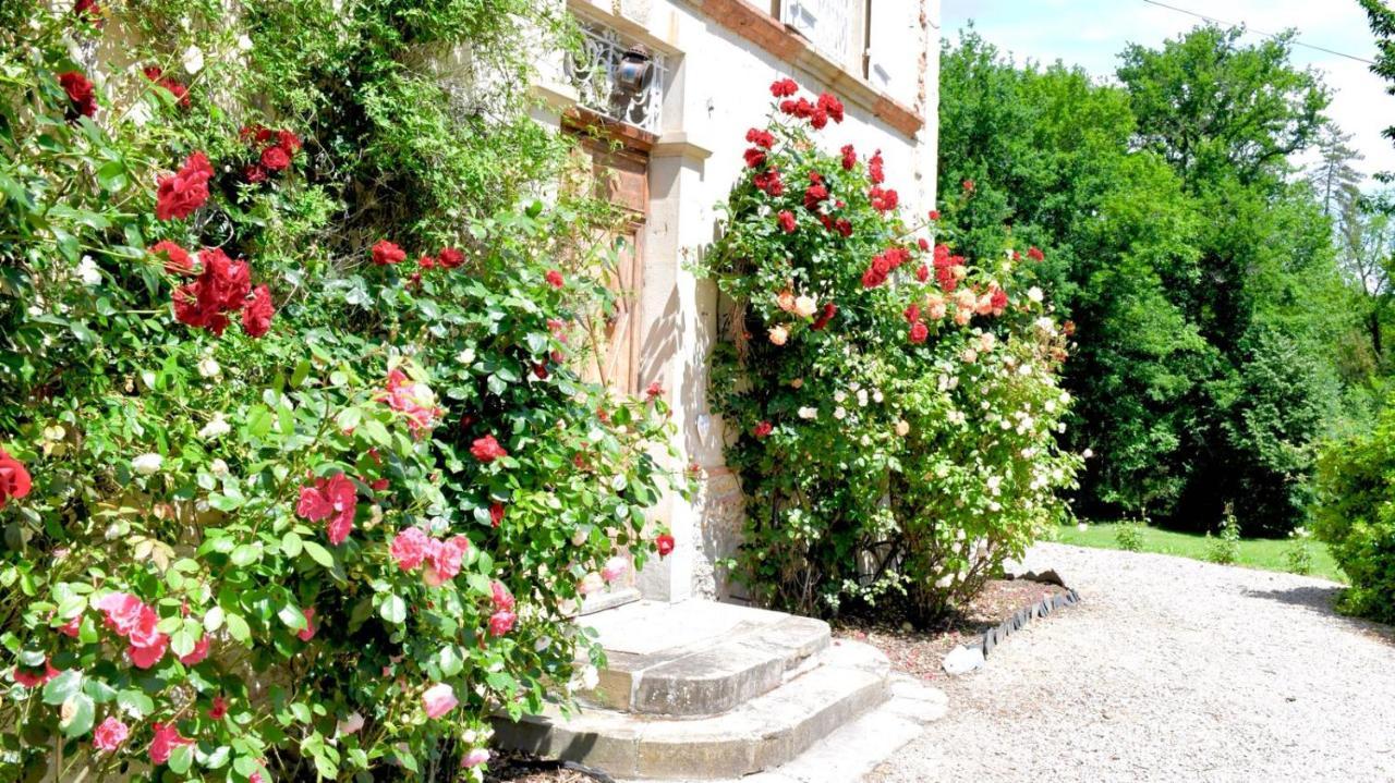 Chateau De Belespy La Bastide-de-Besplas Exterior photo